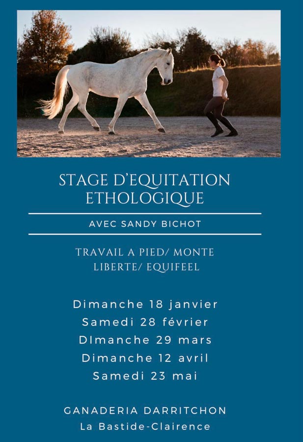 Stages éthologie Gana Darritchon